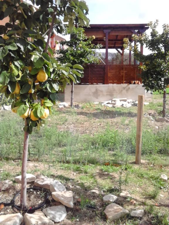 로블레도데차벨라 El Jardincillo 게스트하우스 외부 사진